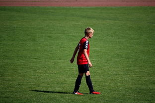 开云集团中国官网-国际排联调整赛制 新赛季竞争更激烈,国际排联最新排名